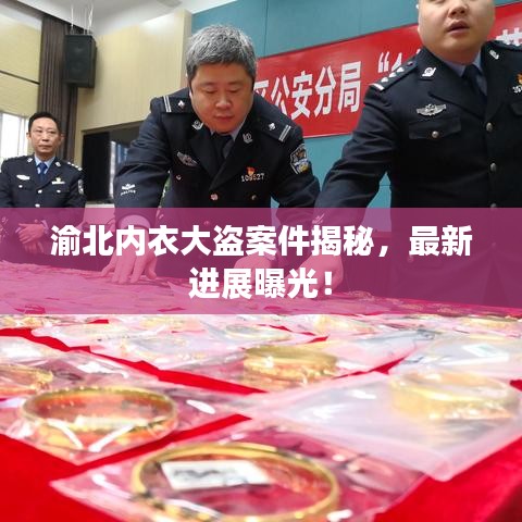 渝北内衣大盗案件揭秘，最新进展曝光！
