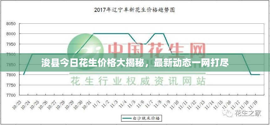 浚县今日花生价格大揭秘，最新动态一网打尽