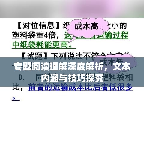 专题阅读理解深度解析，文本内涵与技巧探究