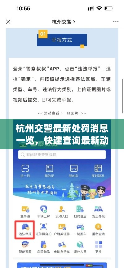 杭州交警最新处罚消息一览，快速查询最新动态！
