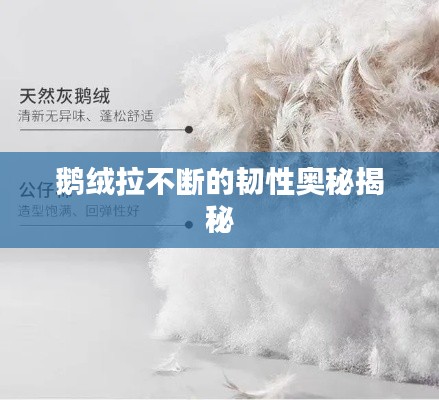 鹅绒拉不断的韧性奥秘揭秘